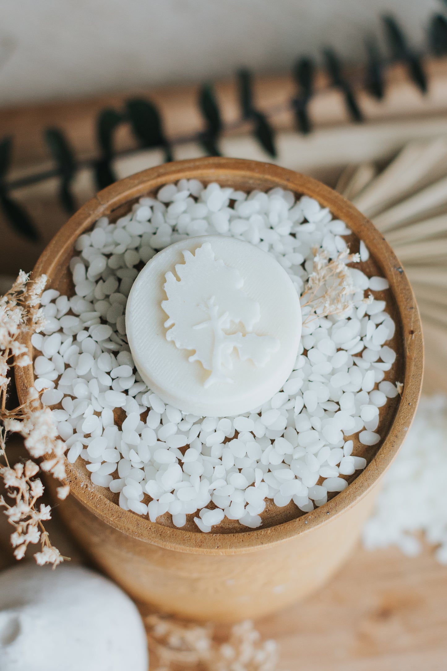 Coconut + Lime Lotion Bar